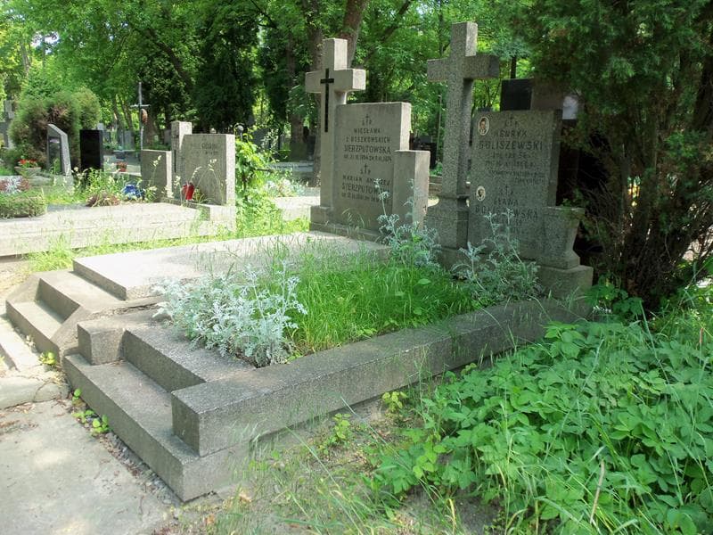 Zdjęcie grobu Henryk Goliszewski (1)