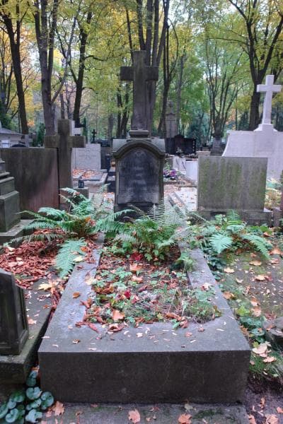 Zdjęcie grobu: Emilia Ludwig