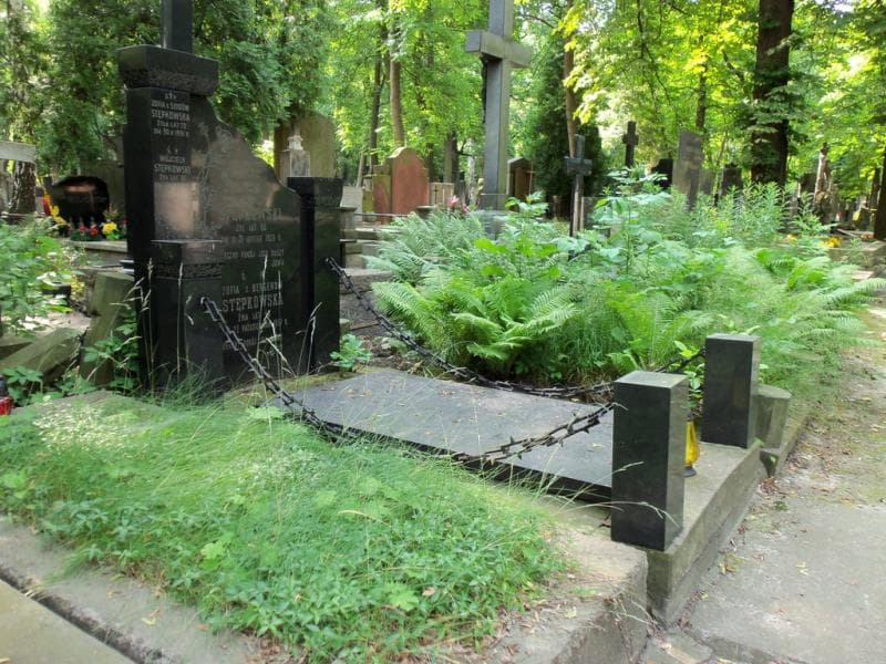 Zdjęcie grobu Wojciech Stępkowski (1)