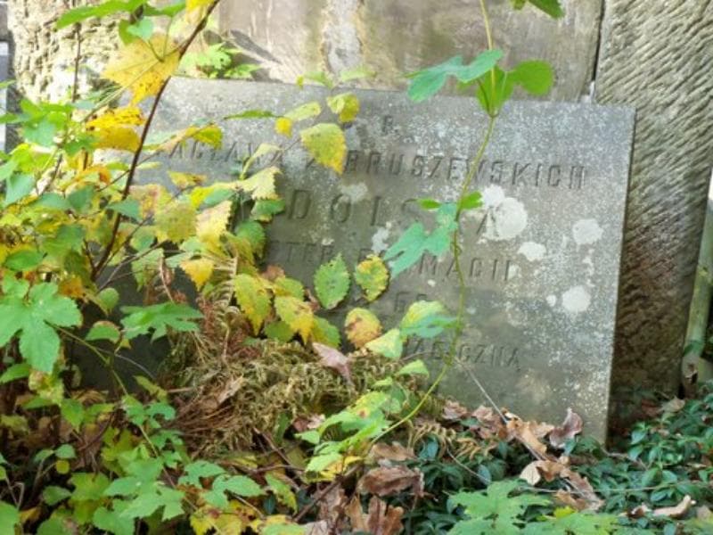 Zdjęcie grobu Wacława Podolska (2)