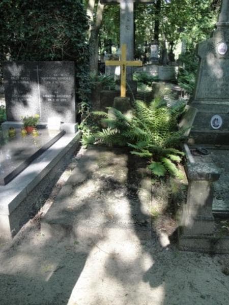 Zdjęcie grobu: Barbara Brzezia - Brzezińska