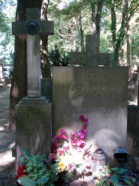 Zdjęcie grobu Henryk Drążewski (1)
