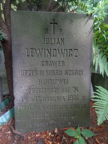 Zdjęcie grobu Juljan Lewinowicz (2)