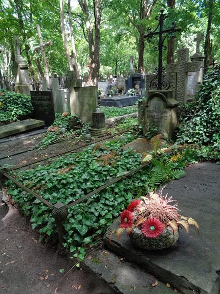 Zdjęcie grobu: Aleksander Danielewicz