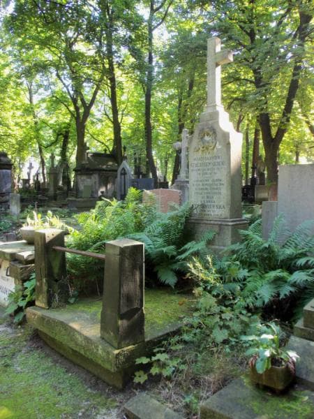 Zdjęcie grobu Józef Stęczniewski (1)