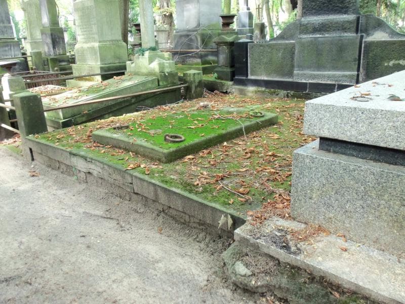 Zdjęcie grobu Juljan Ankiewicz (1)