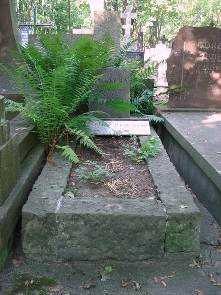 Zdjęcie grobu Krystyna Chorzewska (1)