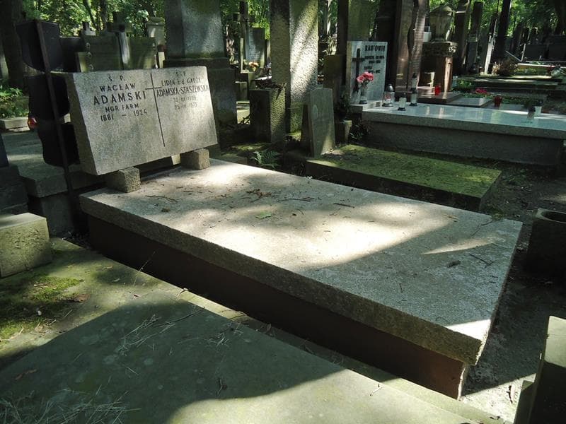 Zdjęcie grobu: Lidia Adamska-Staszewska