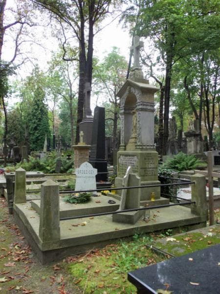 Zdjęcie grobu Konstanty Brzezicki (1)