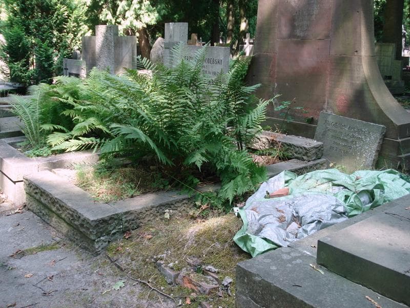 Zdjęcie grobu: Eugenia Osadca