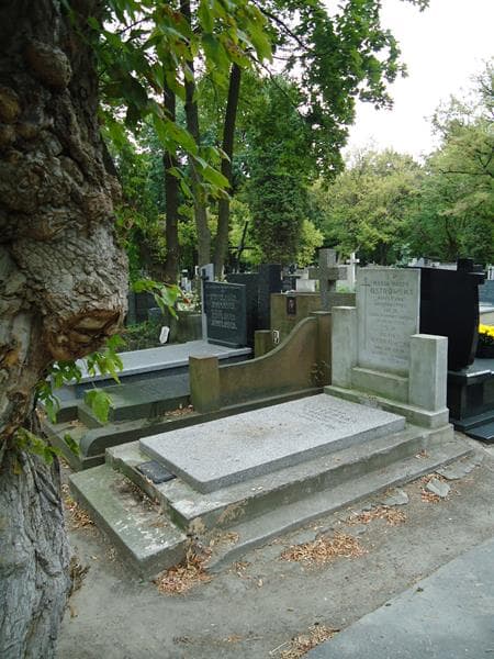 Zdjęcie grobu Kinga Ostrowska (1)