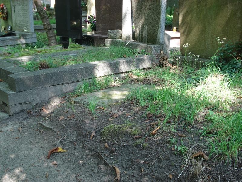 Zdjęcie grobu Marja Dąbrowska (1)