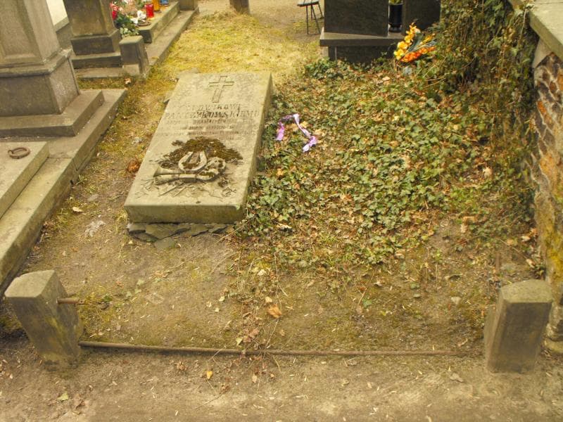 Zdjęcie grobu Eleonora Ilnicka (1)