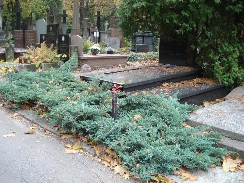 Zdjęcie grobu Janina Sedlaczko (2)