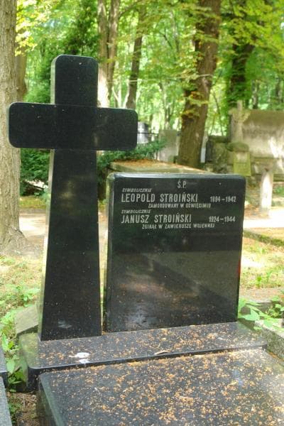Zdjęcie grobu Leopold Stroiński (2)