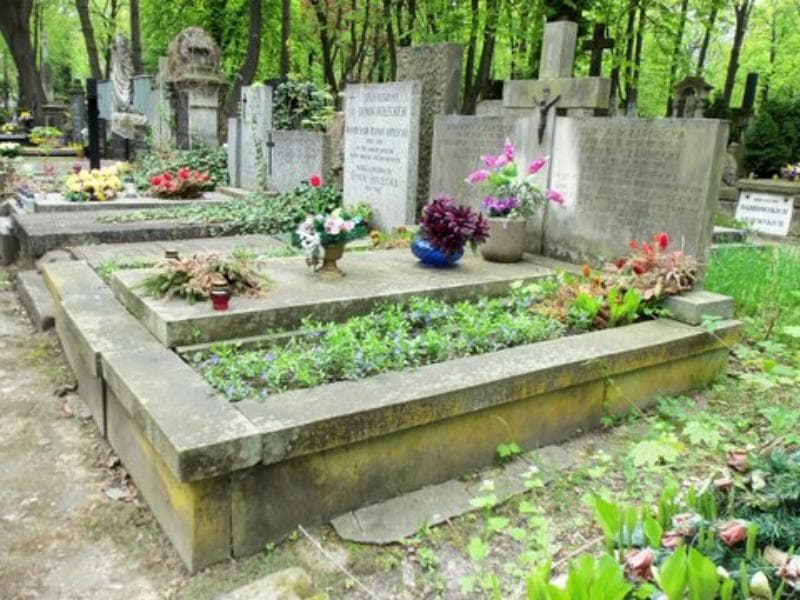 Zdjęcie grobu Stefan Czarnecki (1)