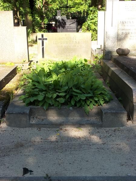 Zdjęcie grobu: Jan Karol Lewandowski