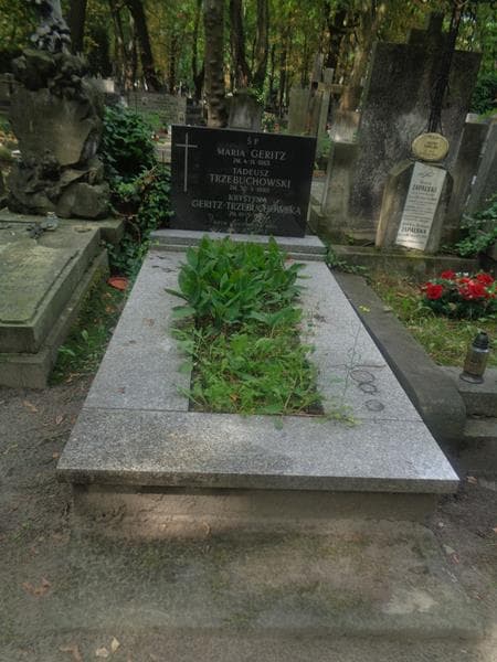 Zdjęcie grobu Tadeusz Trzebuchowski (1)