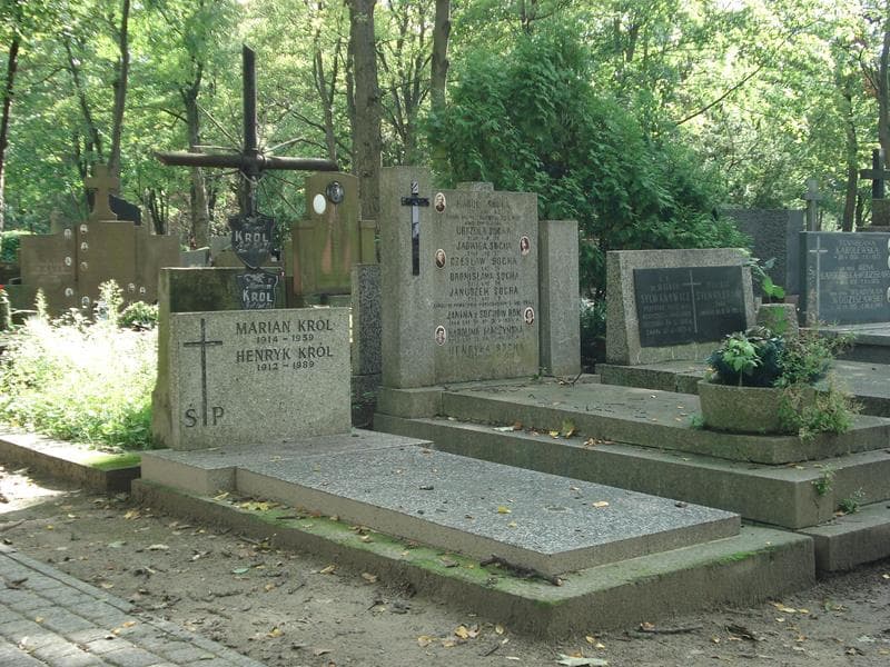 Zdjęcie grobu Henryk Król (1)
