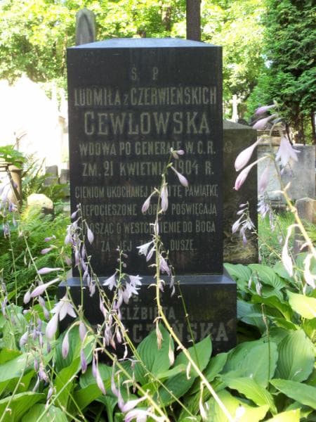 Zdjęcie grobu Elżbieta Dobraczyńska (2)