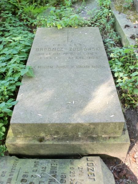 Zdjęcie grobu Edward Brodzicz-Żochowski (2)