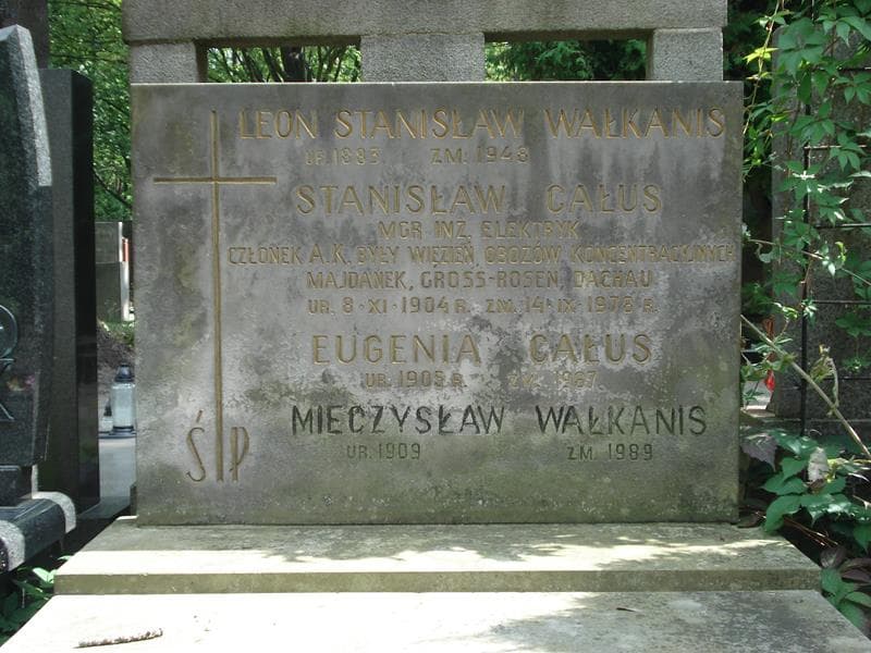 Zdjęcie grobu Stanisław Całus (2)
