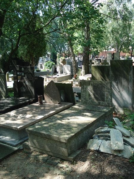 Zdjęcie grobu Czesława Nowowiejska (1)