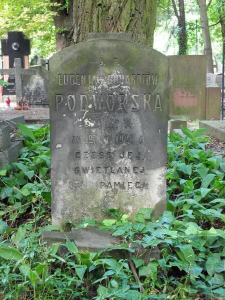 Zdjęcie grobu Eugenja Podworska (2)