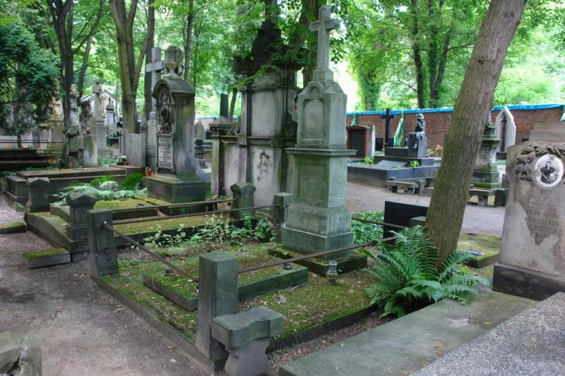 Zdjęcie grobu Henryk Antoni Cybulski (1)