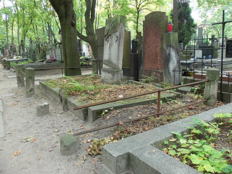Zdjęcie grobu Antoni Wardzyński (1)