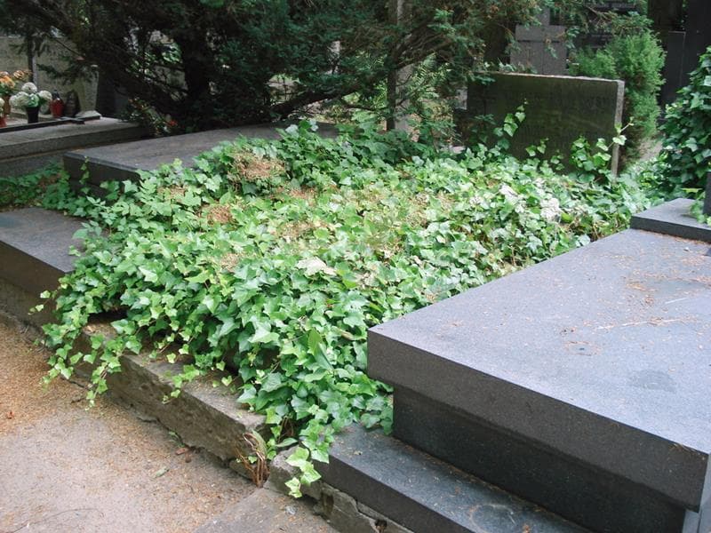 Zdjęcie grobu: Bohdan Pawłowski
