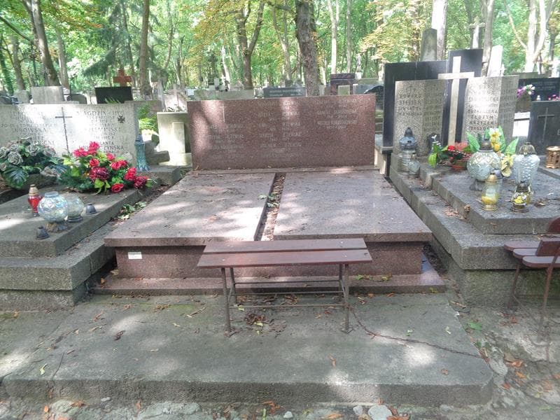 Zdjęcie grobu Feliks Kołtunowski (1)