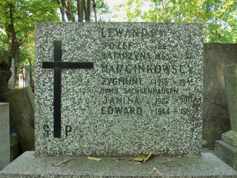Zdjęcie grobu Zygmunt Marcinkowski (2)
