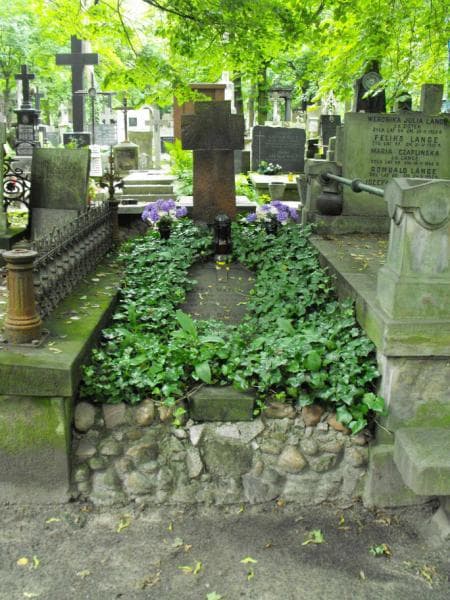 Zdjęcie grobu: Aniela Dmowska