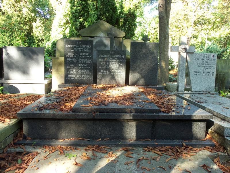 Zdjęcie grobu: Józef Goliński