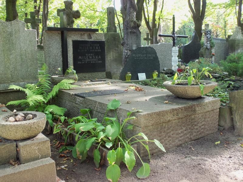 Zdjęcie grobu Hanna Milewska (1)