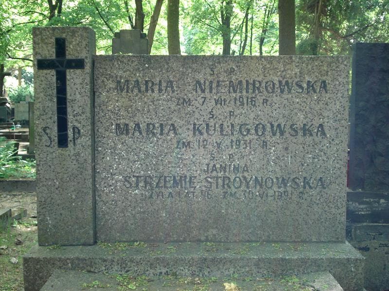 Zdjęcie grobu Janina Strzemię - Stroynowska (1)