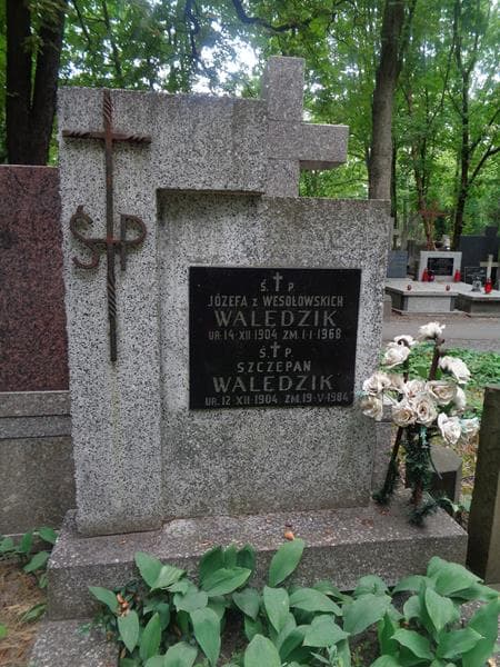Zdjęcie grobu Szczepan Walędzik (2)