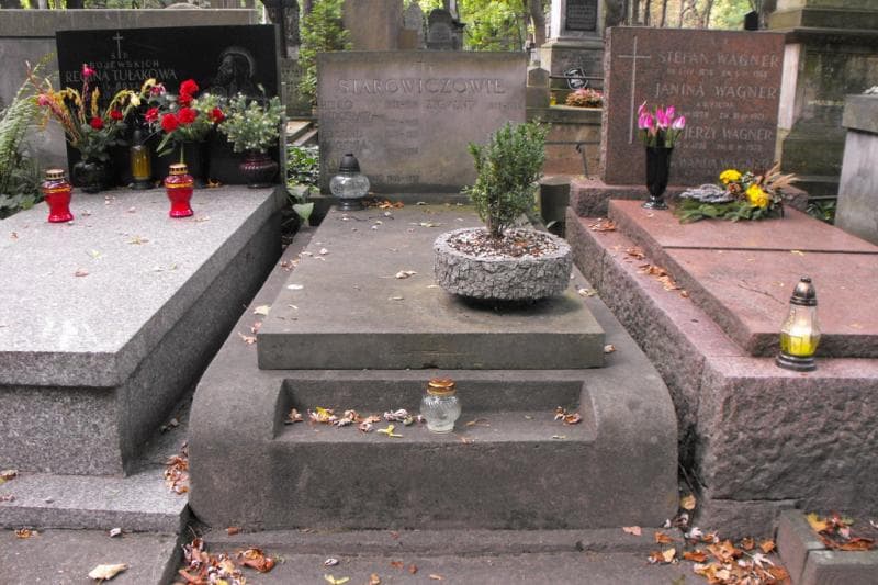 Zdjęcie grobu: Halina Licińska-Starowicz