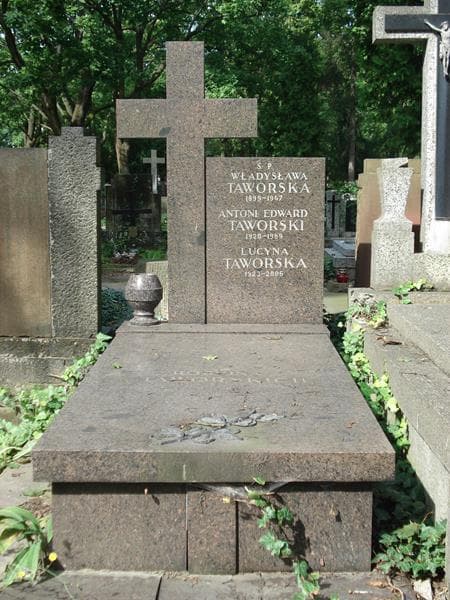 Zdjęcie grobu: Władysława Taworska