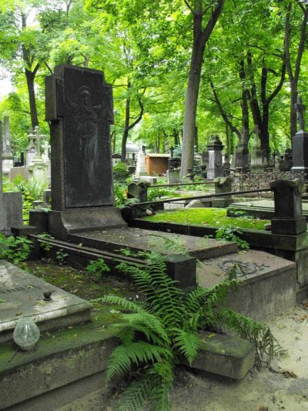 Zdjęcie grobu Józef Petkowski (1)
