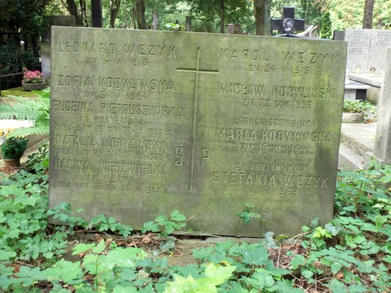 Zdjęcie grobu Eugenia Pietruszyńska (2)