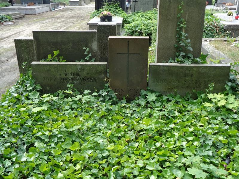 Zdjęcie grobu Zofia Piestrzyńska (2)