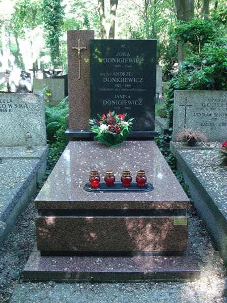 Zdjęcie grobu: Janina Donigiewicz