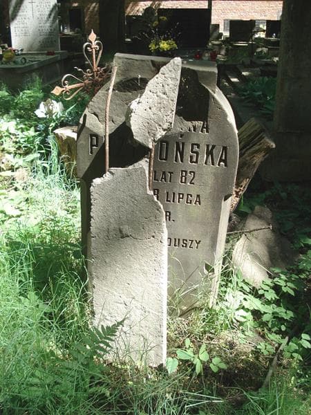 Zdjęcie grobu ... Przygońska (1)