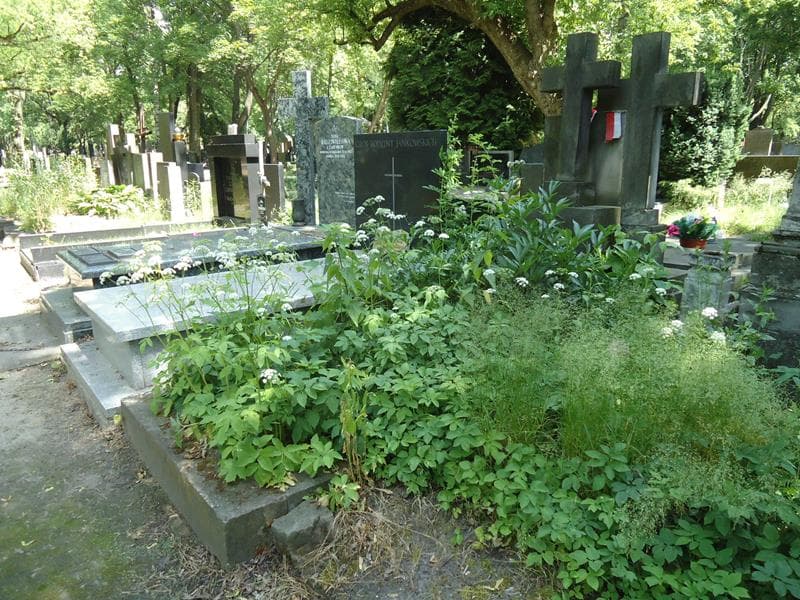 Zdjęcie grobu Emilia Psarska (1)