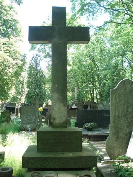 Zdjęcie grobu Zygmunt Wasilkowski (2)