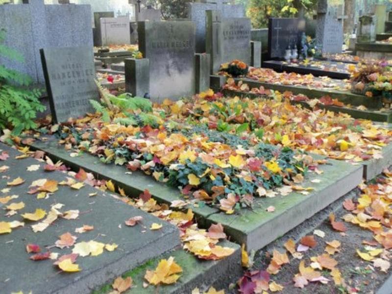 Zdjęcie grobu Marja Mancewiczowa (1)