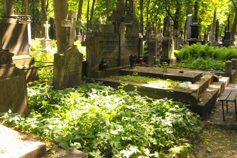 Zdjęcie grobu Maria Opielińska (1)