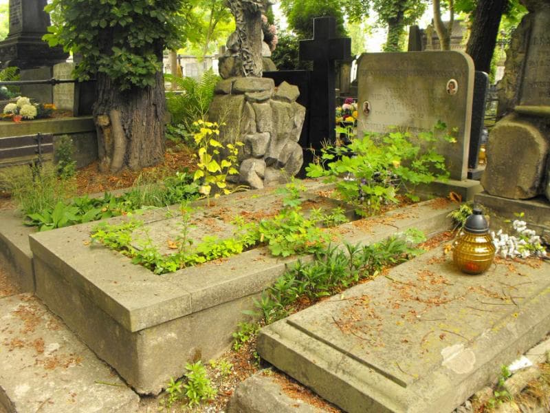 Zdjęcie grobu Leonia Myszkowska (1)